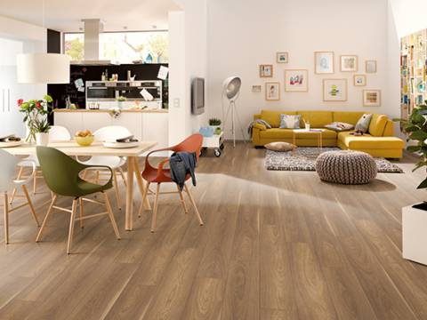 aranzacja orzech mansonia